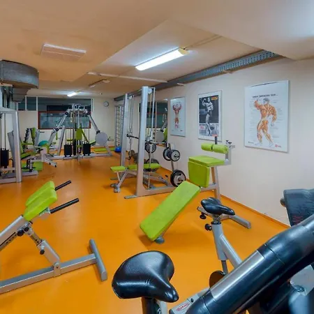Wellness 4* Patince