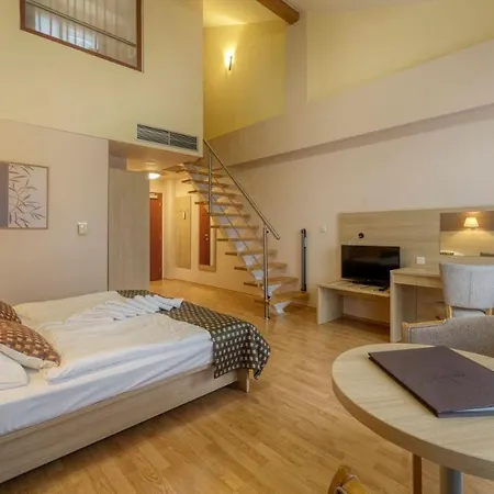 Szálloda Wellness 4*