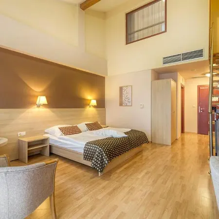 Wellness Hotel 4*