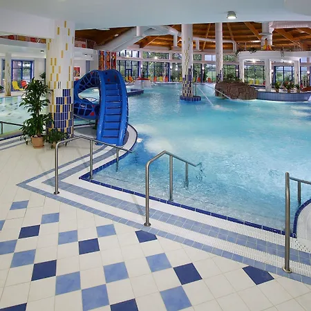 Wellness