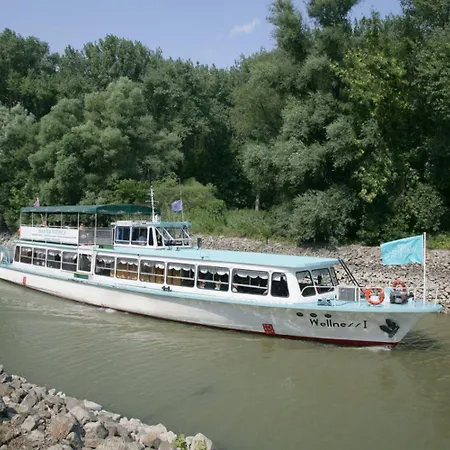 Отель Wellness Патинце