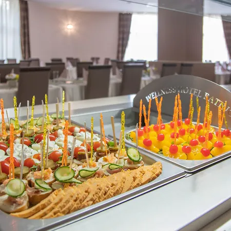 Wellness Отель 4*