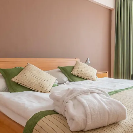 Wellness Szálloda 4*