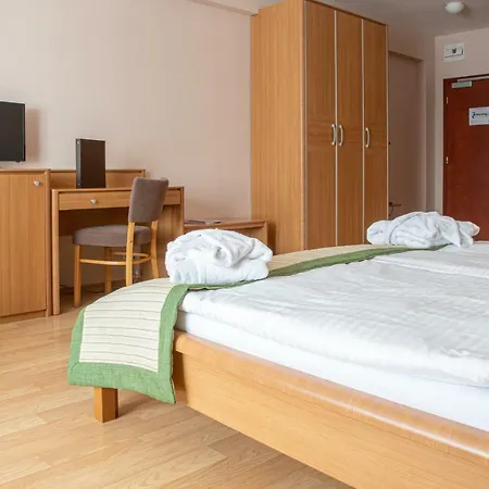 Wellness 4*